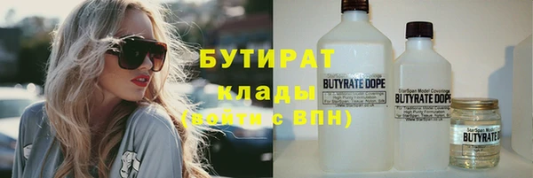 прущие грибы Нягань