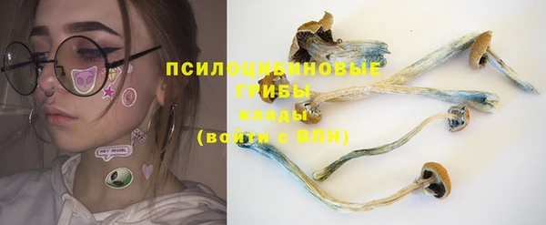 прущие грибы Нягань