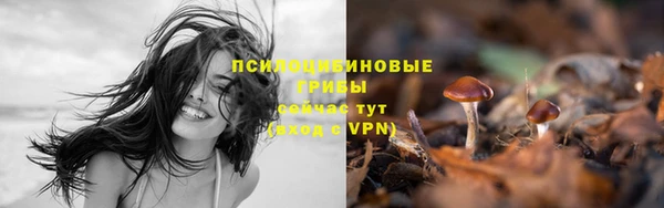 COCAINE Няндома