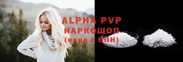 прущие грибы Нягань