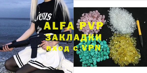 прущие грибы Нягань