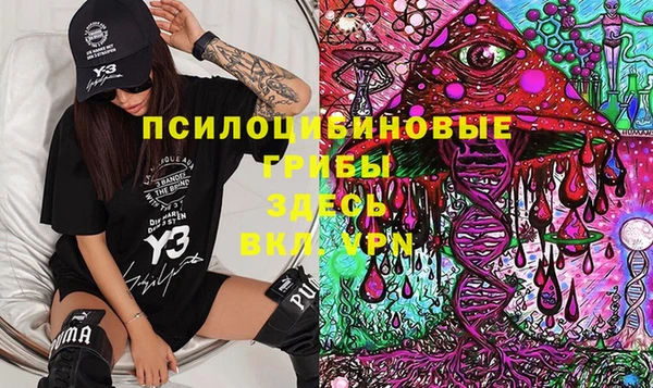 COCAINE Няндома