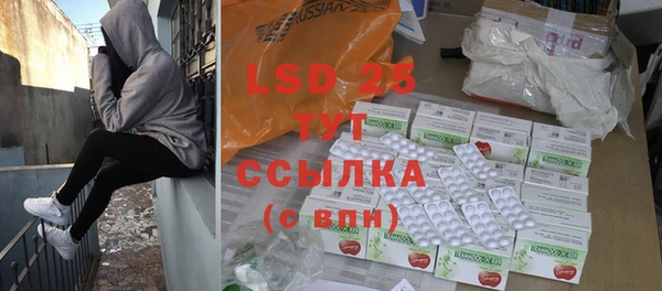 прущие грибы Нягань