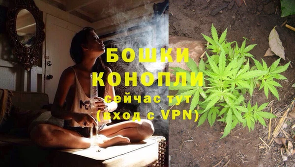 прущие грибы Нягань