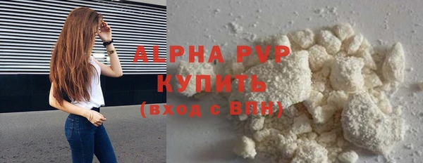 прущие грибы Нягань