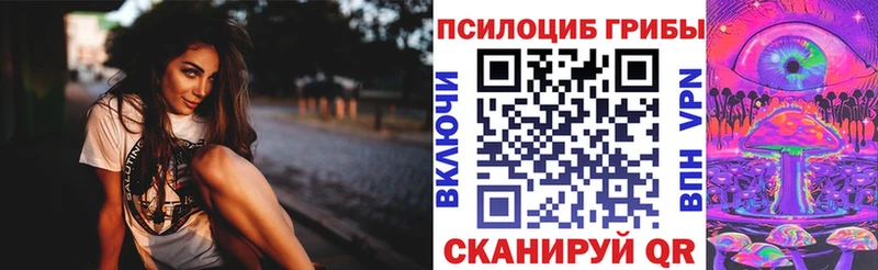 что такое   Катайск  ОМГ ОМГ вход  Псилоцибиновые грибы прущие грибы 