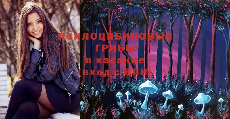 Псилоцибиновые грибы Psilocybe  Катайск 